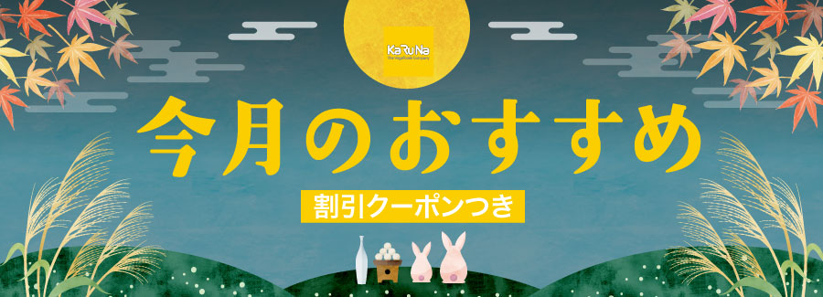 今月のおすすめ商品9月